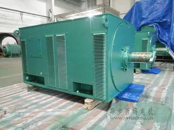 西瑪電機(jī)Y5603-10 560KW <a href=http://aoki10.cn/new/new-47-621.html target='_blank'><a href=http://aoki10.cn/new_tags_225.html target='_blank'>10kv高壓電機(jī)</a></a>